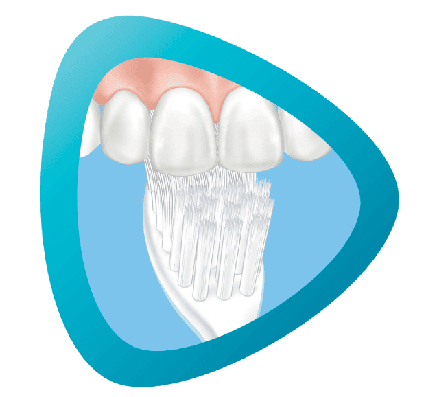 cleaning the chewing surfaces