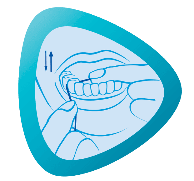 Clean lower jaw with dental floss